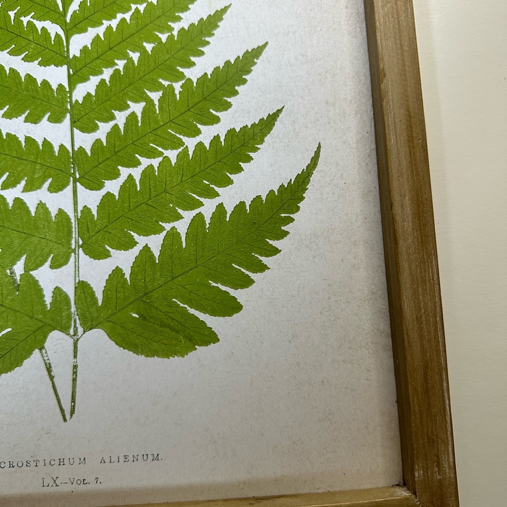 New Framed Green Fern Botanical Minimalistic Modern Herbal Wall Art - Picture 3 of 7